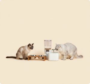 water-feeding-accessories