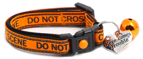 data-59.jpg data-59.jpg