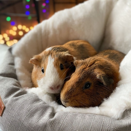 data-71.jpg data-71.jpg