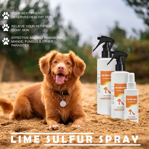 healthy-paw-life-classic-s-lime-sulfur-pet-shampoo-8-oz-and-spray-8-oz-37697047036056.jpg healthy-paw-life-classic-s-lime-sulfur-pet-shampoo-8-oz-and-spray-8-oz-37697047036056.jpg